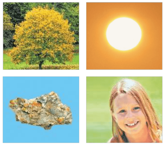 Задание рисунок 1