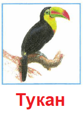 Решение рисунок 1