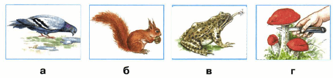 Решение рисунок 1