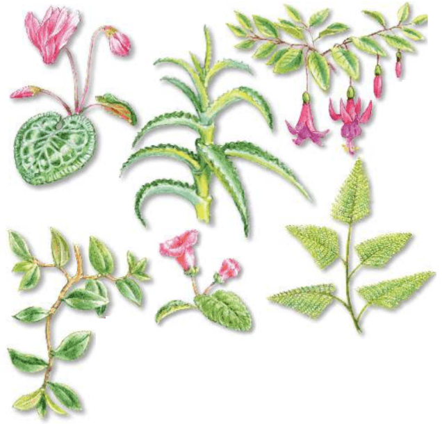 Задание рисунок 1