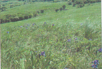 Решение рисунок 3