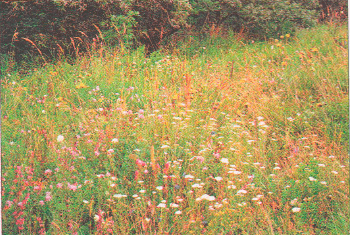 Решение рисунок 4