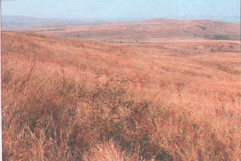 Решение рисунок 6