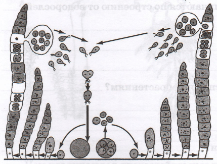 Задание рисунок 4