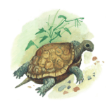 Задание рисунок 3